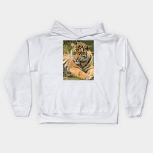 Sumatran Tiger Cub Kids Hoodie